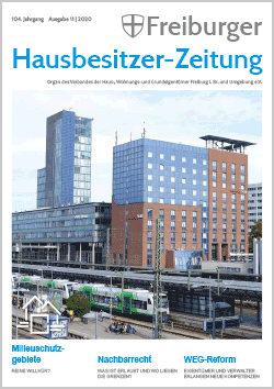 Ausgabe November 2020 Ausgabe November 2020