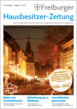 Ausgabe November 2020