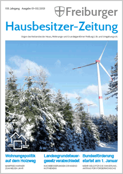 Ausgabe Januar/Februar 2021 Ausgabe Januar/Februar 2021